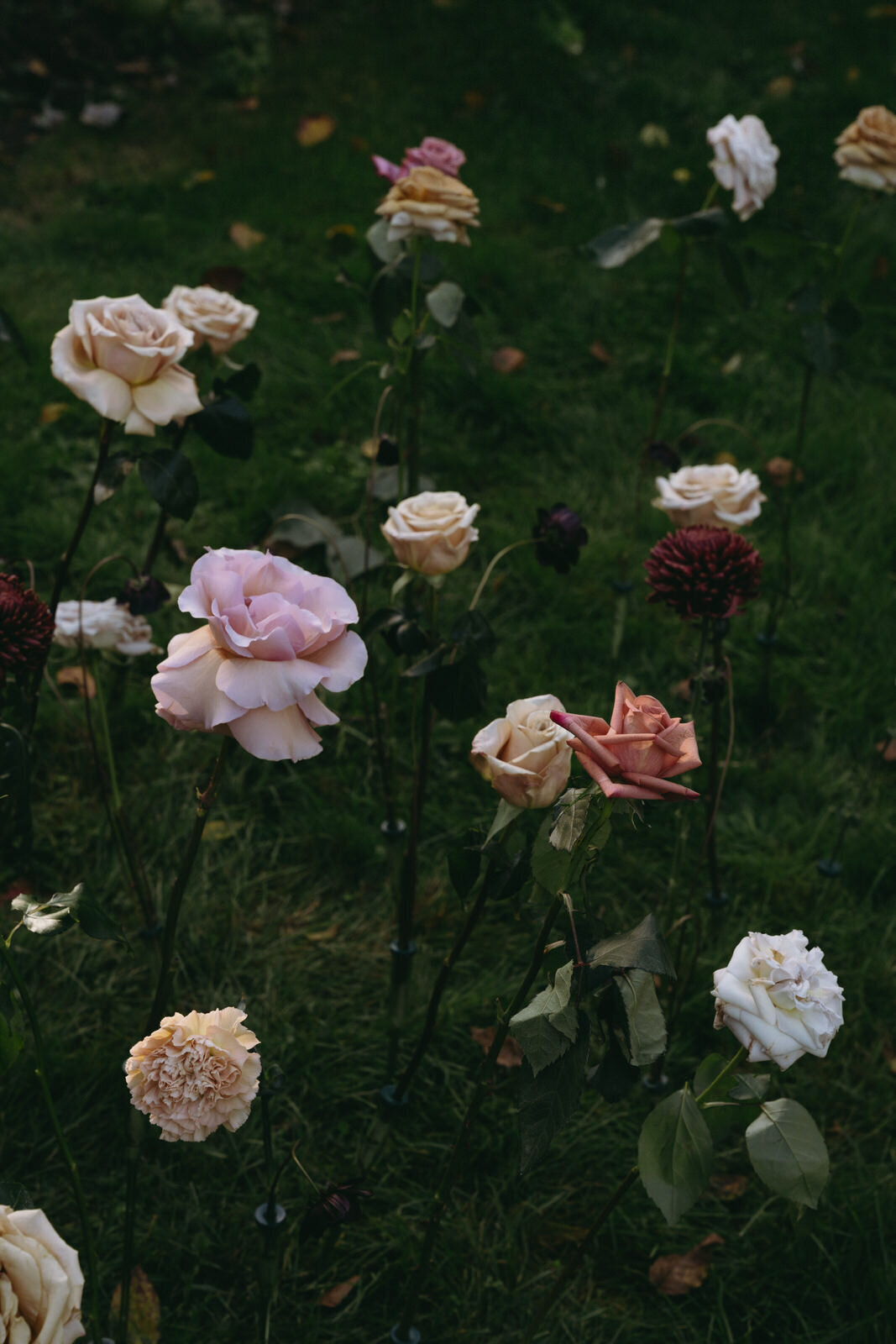 3Flora_And_Grace_Paris_Editorial_Wedding_Photographer (79 von 105)