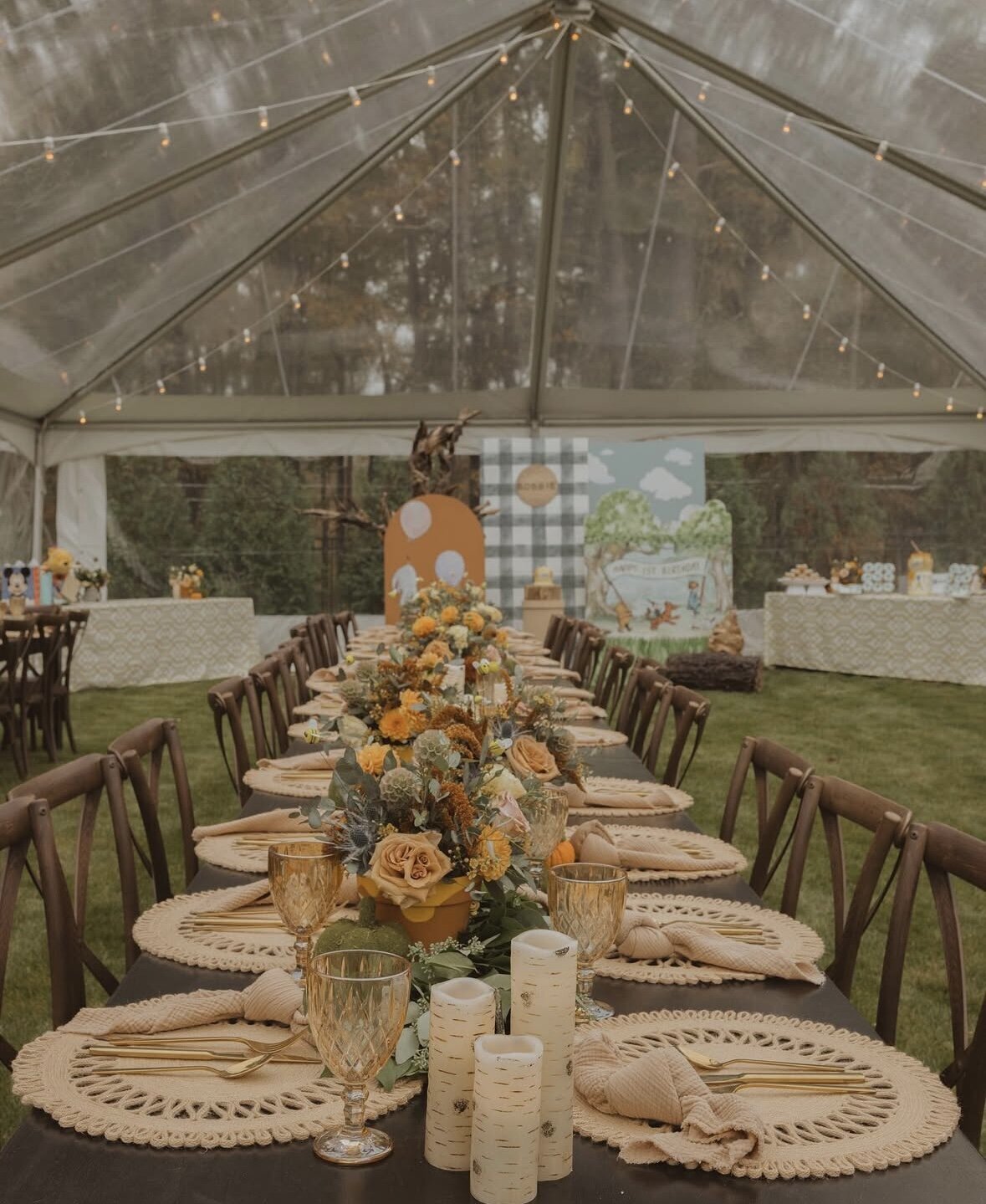 winnie-the-pooh-baby-shower-in-connecticut