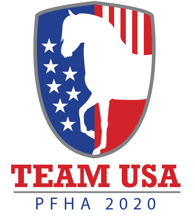 equestrian logo design