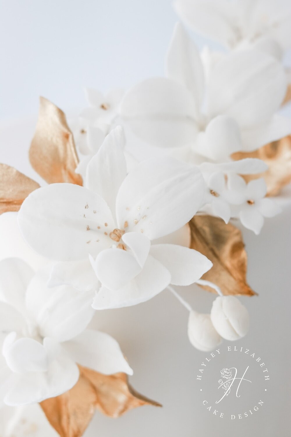 2-3 images watermarked hecd_20250525_094032_0014