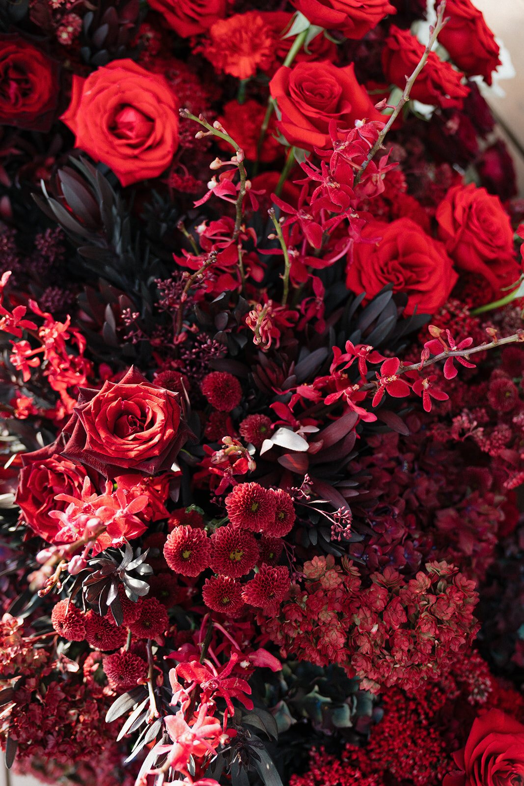 Jen Patterson Photo (40 of 112)