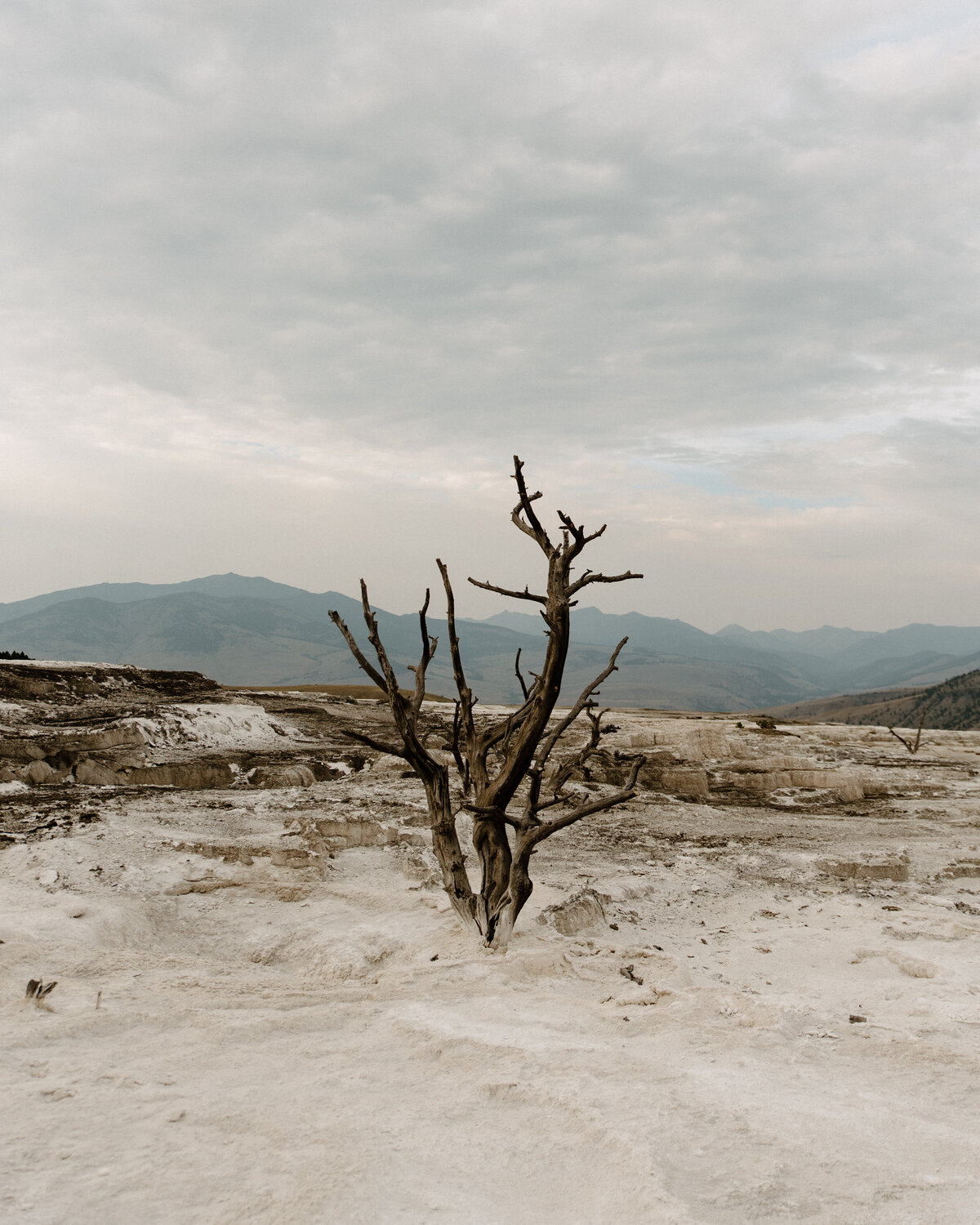 mammoth_hot_springs_yellowstone_national_park_wyoming_1