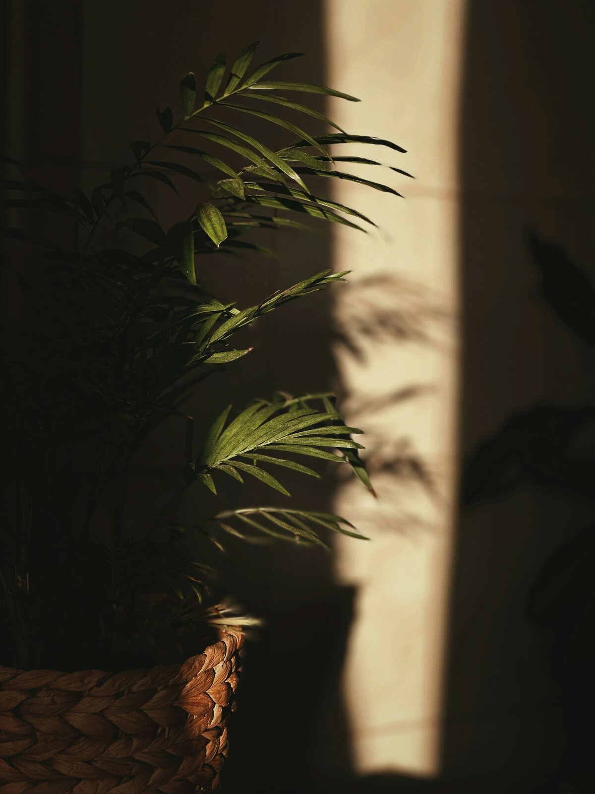 alexandra-leru--xKxnxGJm2s-unsplash