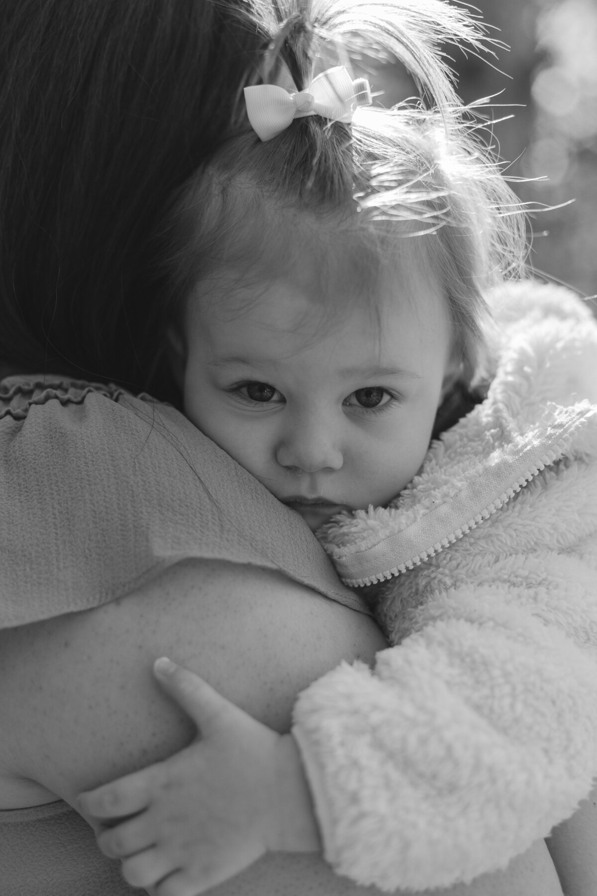 Andi Heminger Photo - mid Michigan Photographer 0J0A1481