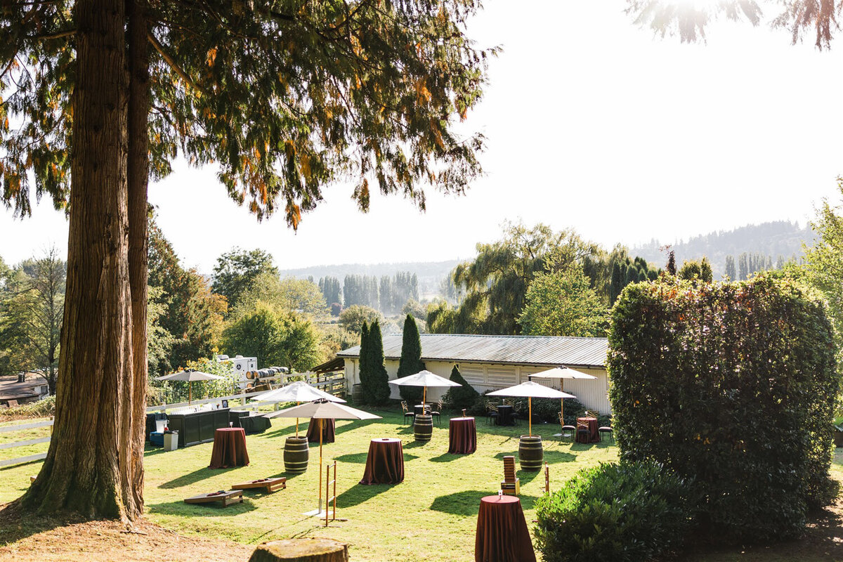 The cocktail lawn at the chateau lill