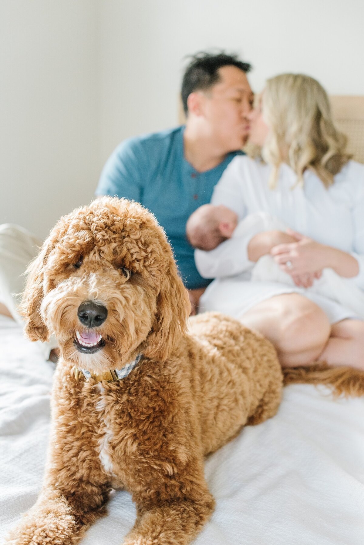 Anna+Mateo-DC-Newborn-Photography_0095