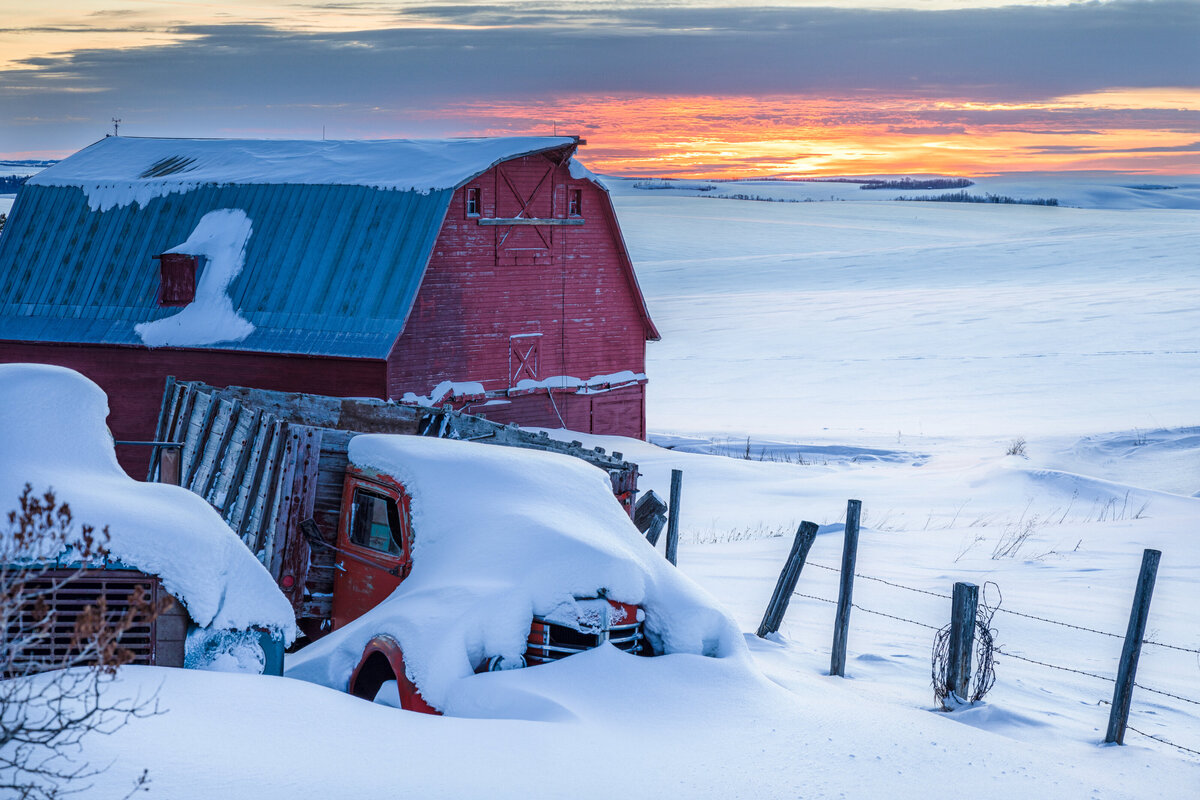 2020-01-07-75A5025-morrison-farm-Edit