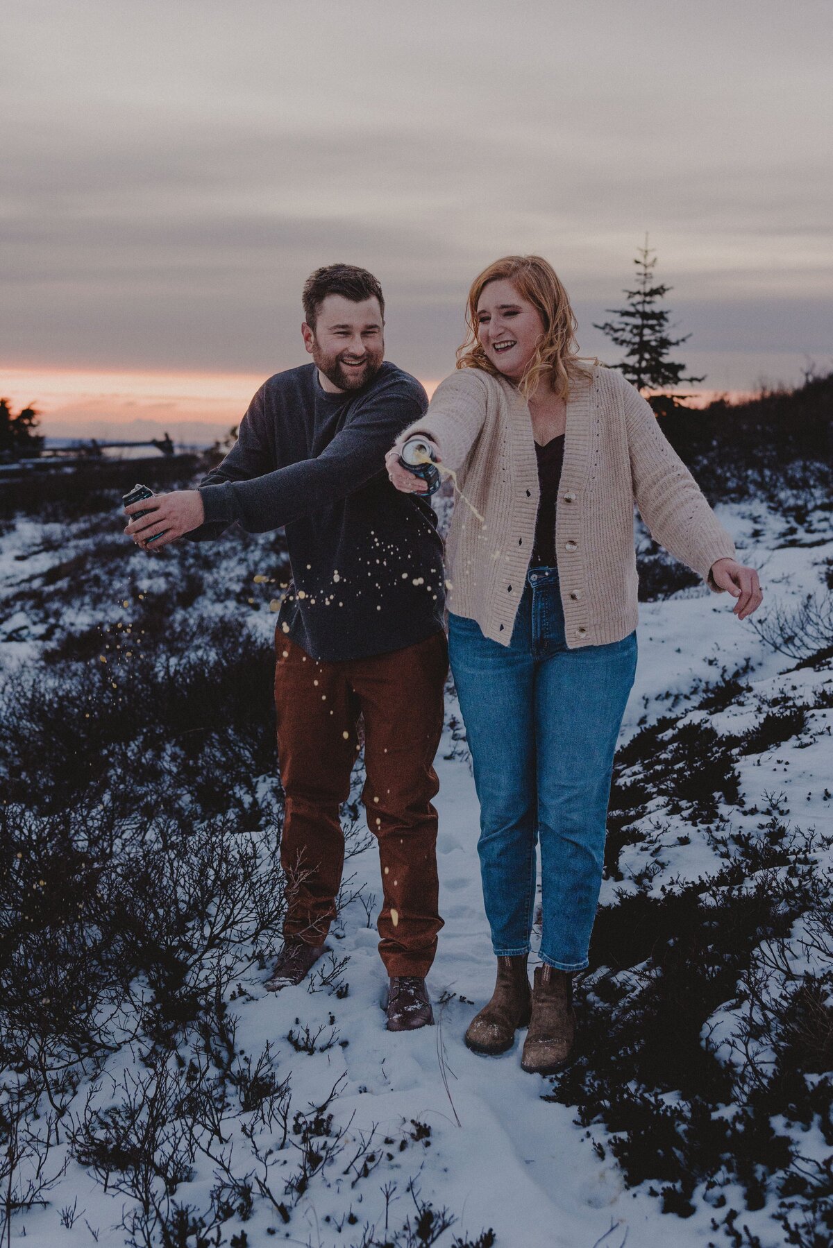 159AlaskaMountain EngagementGlen Alps