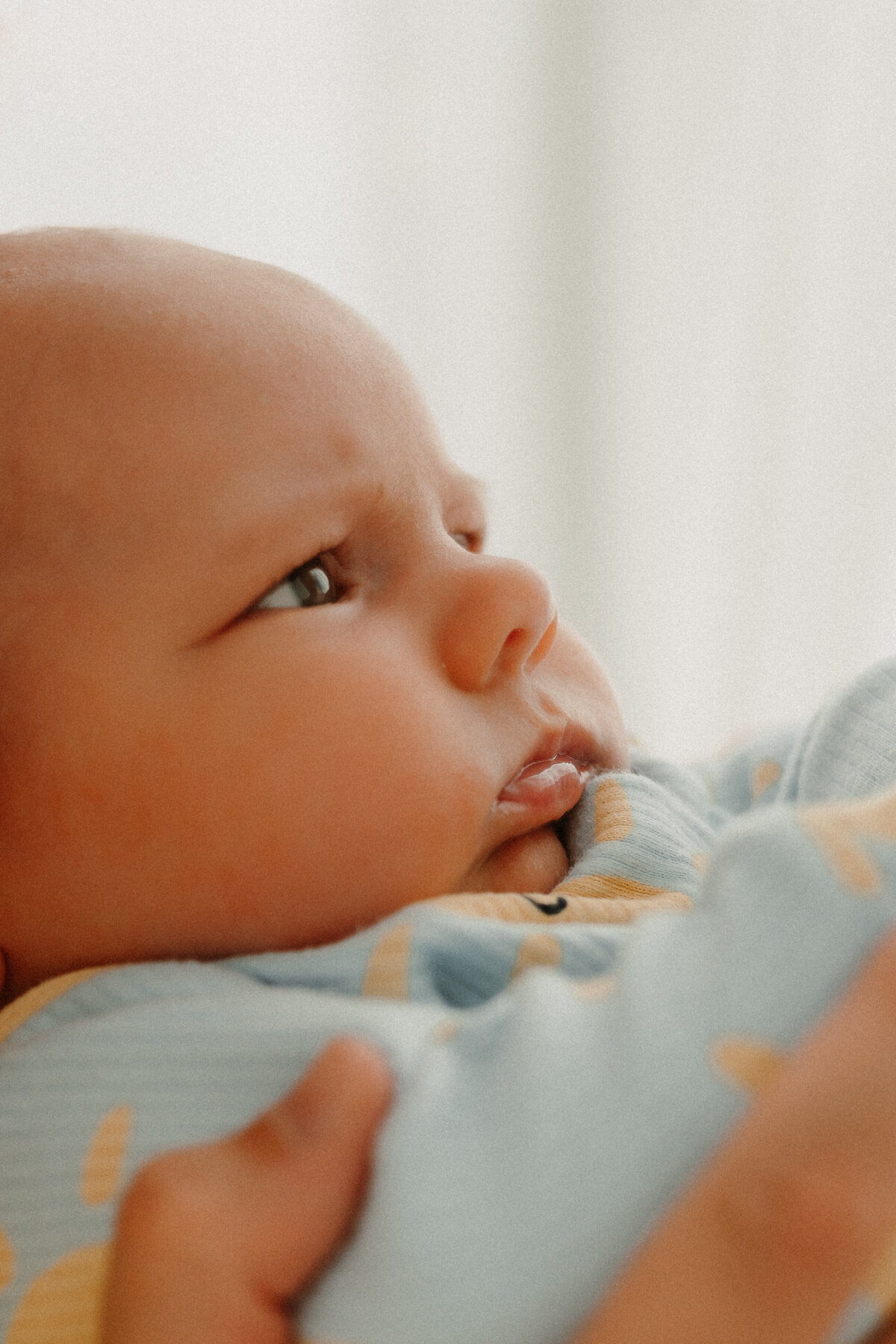 MomentsbyValerie-08520