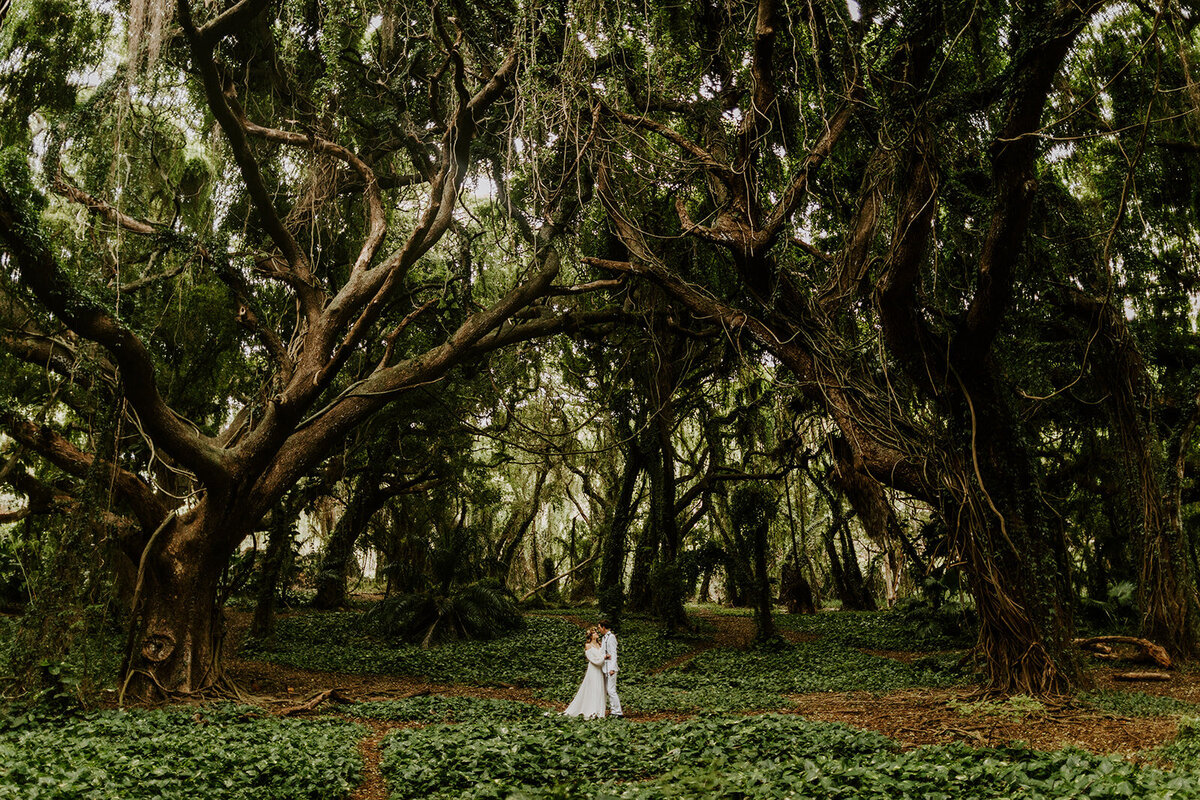 22.09.29_Anna and Piotr_Maui Elopement _0386_websize