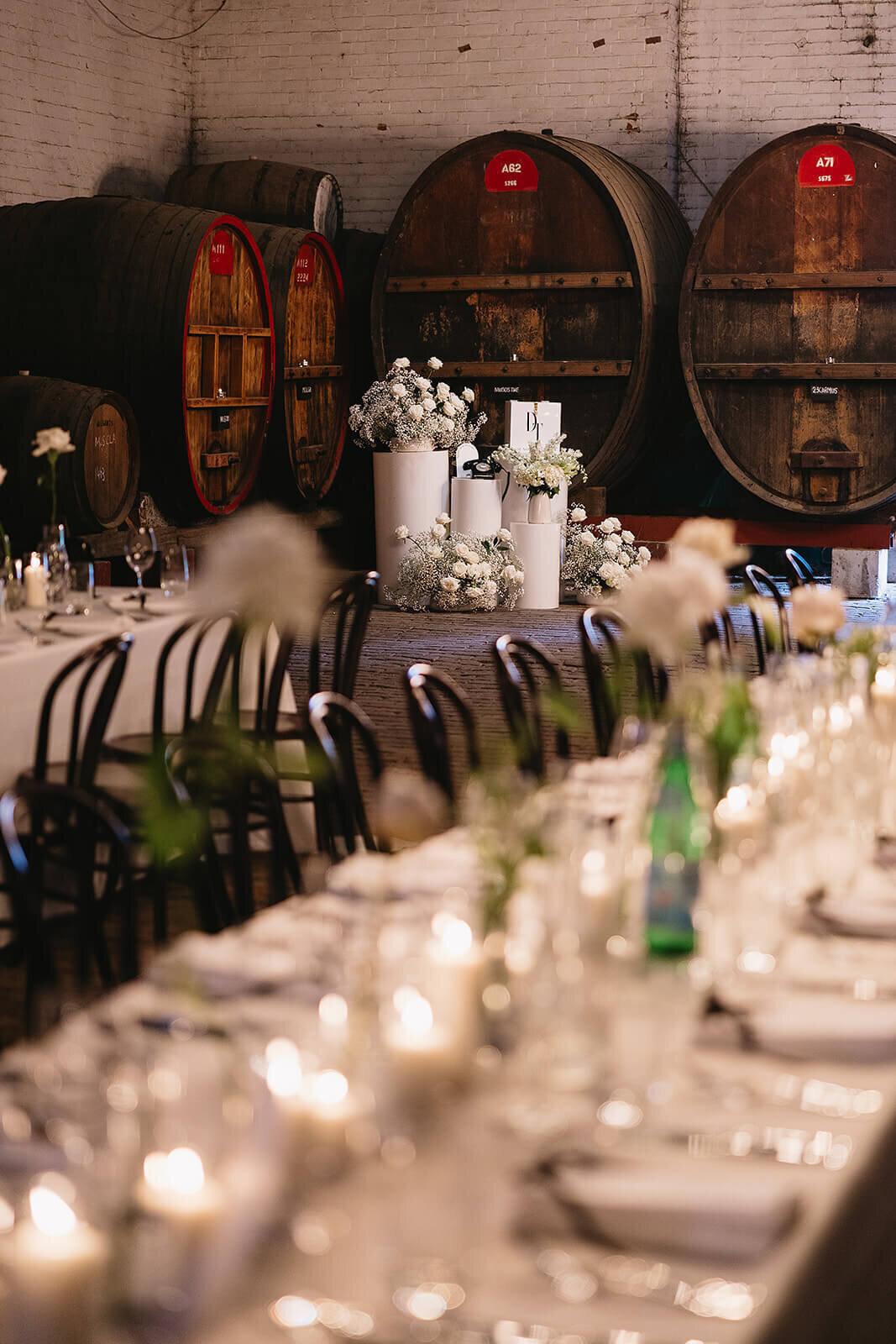 Tayla and Declan x Ashleigh Haase Photography-330