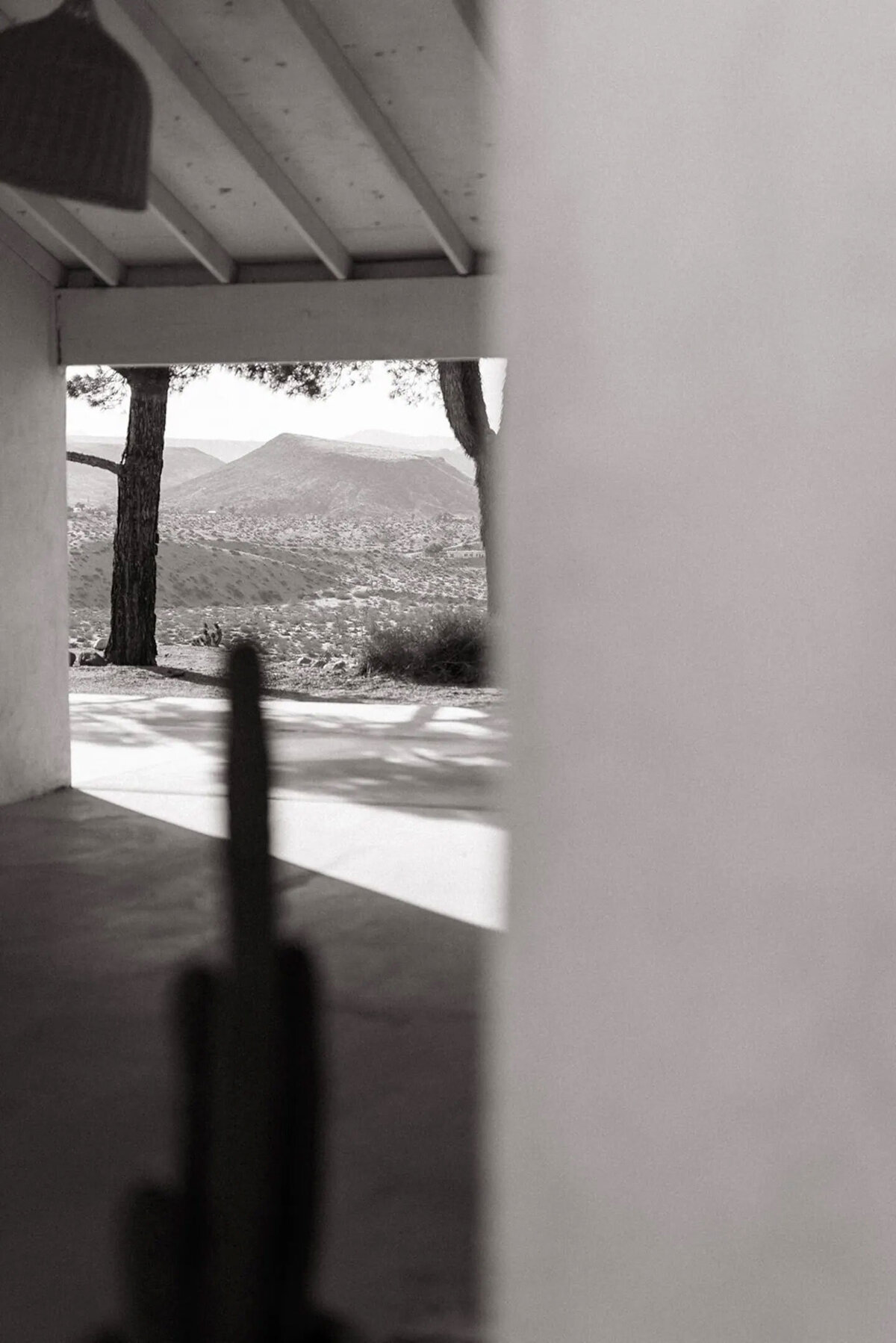 le-chacuel-airbnb-joshua-tree-landscape