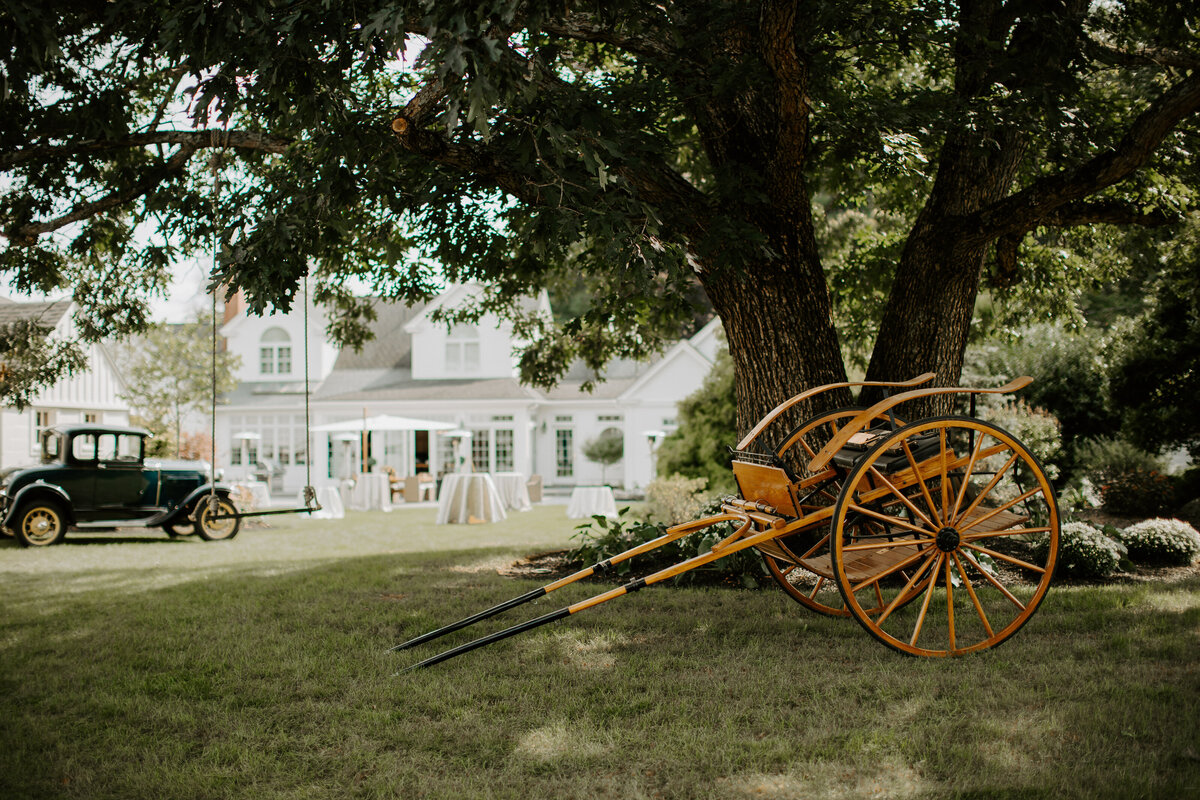 Liam-Victoria-Little Flower Farm-Hopkinton-MA-10