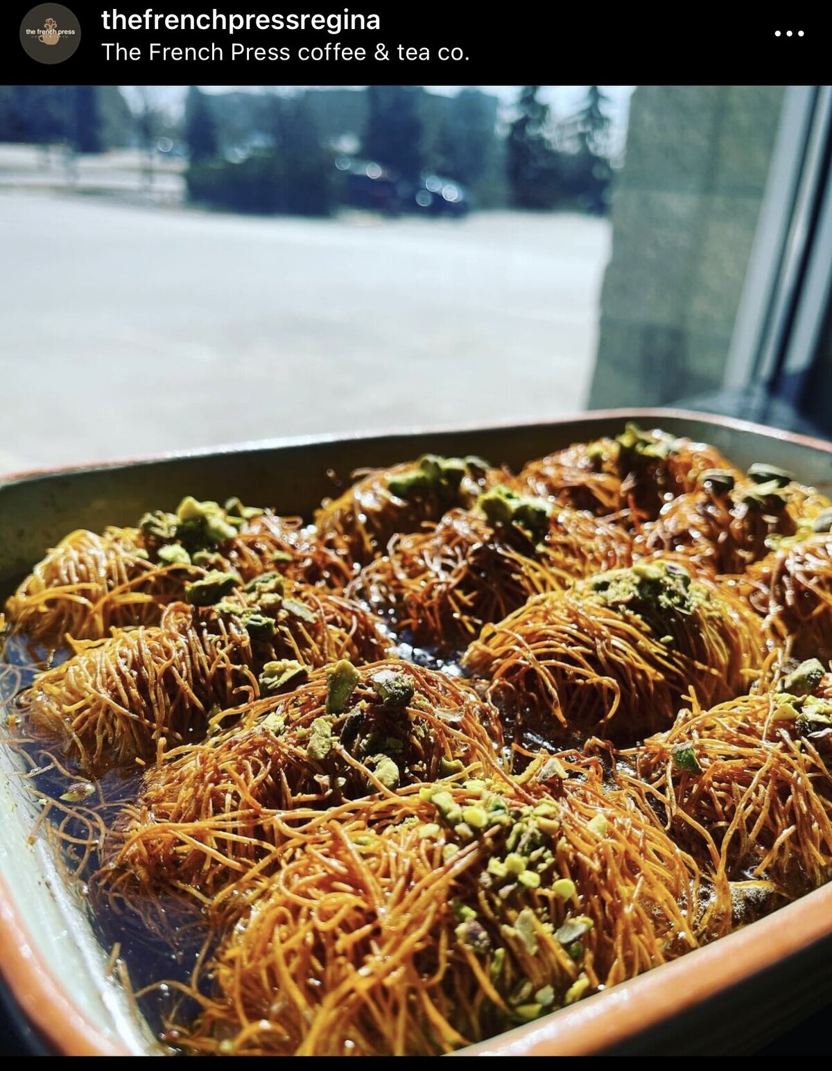 french-press-regina-coffee-shop-window