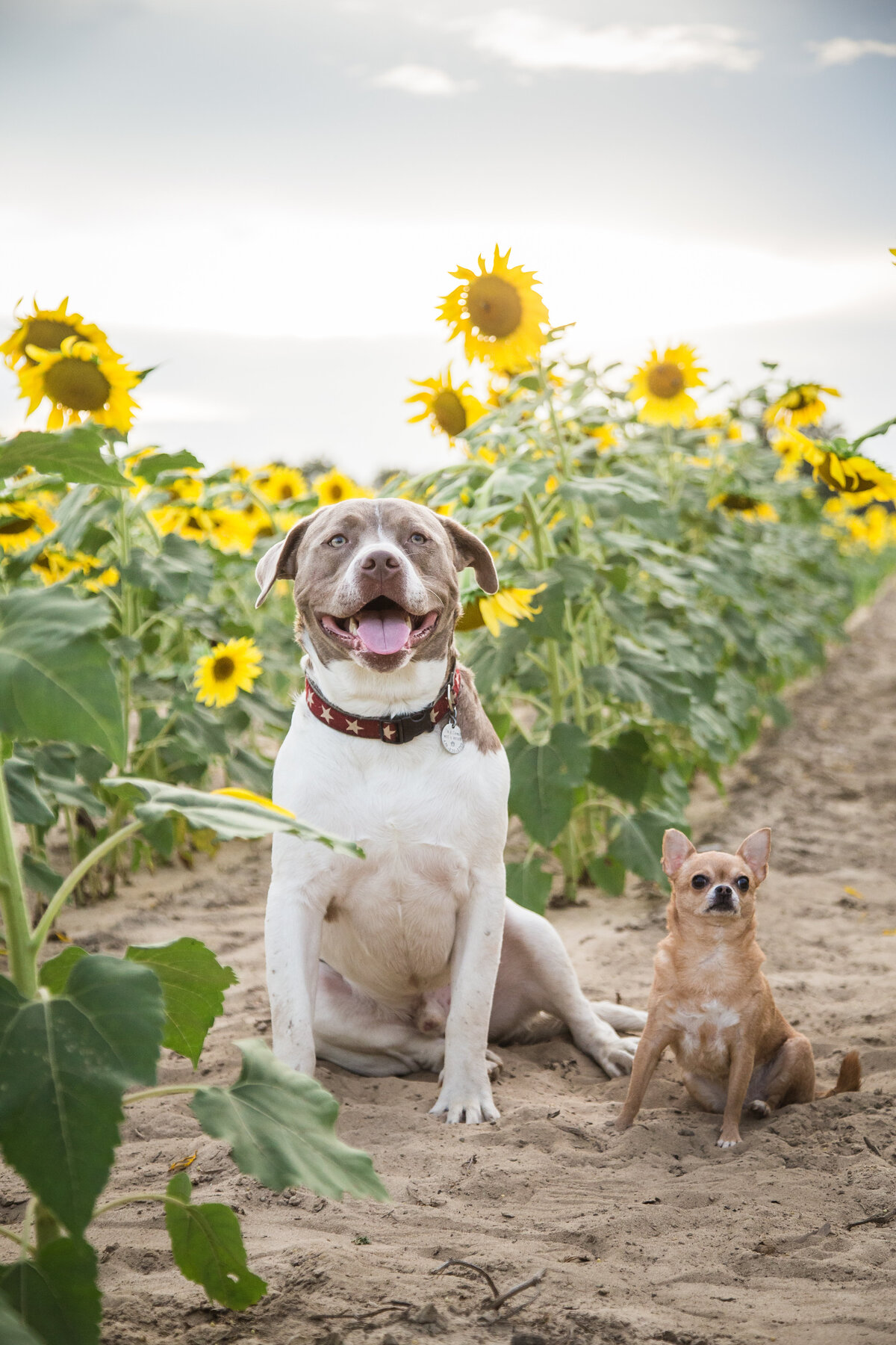 ashlyn and friends 2019-9083