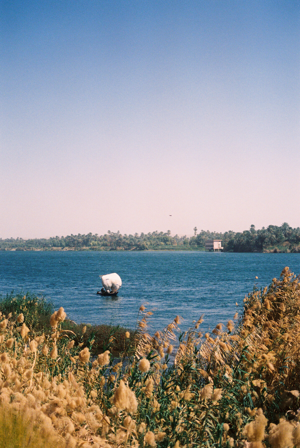 egypt-travel-085