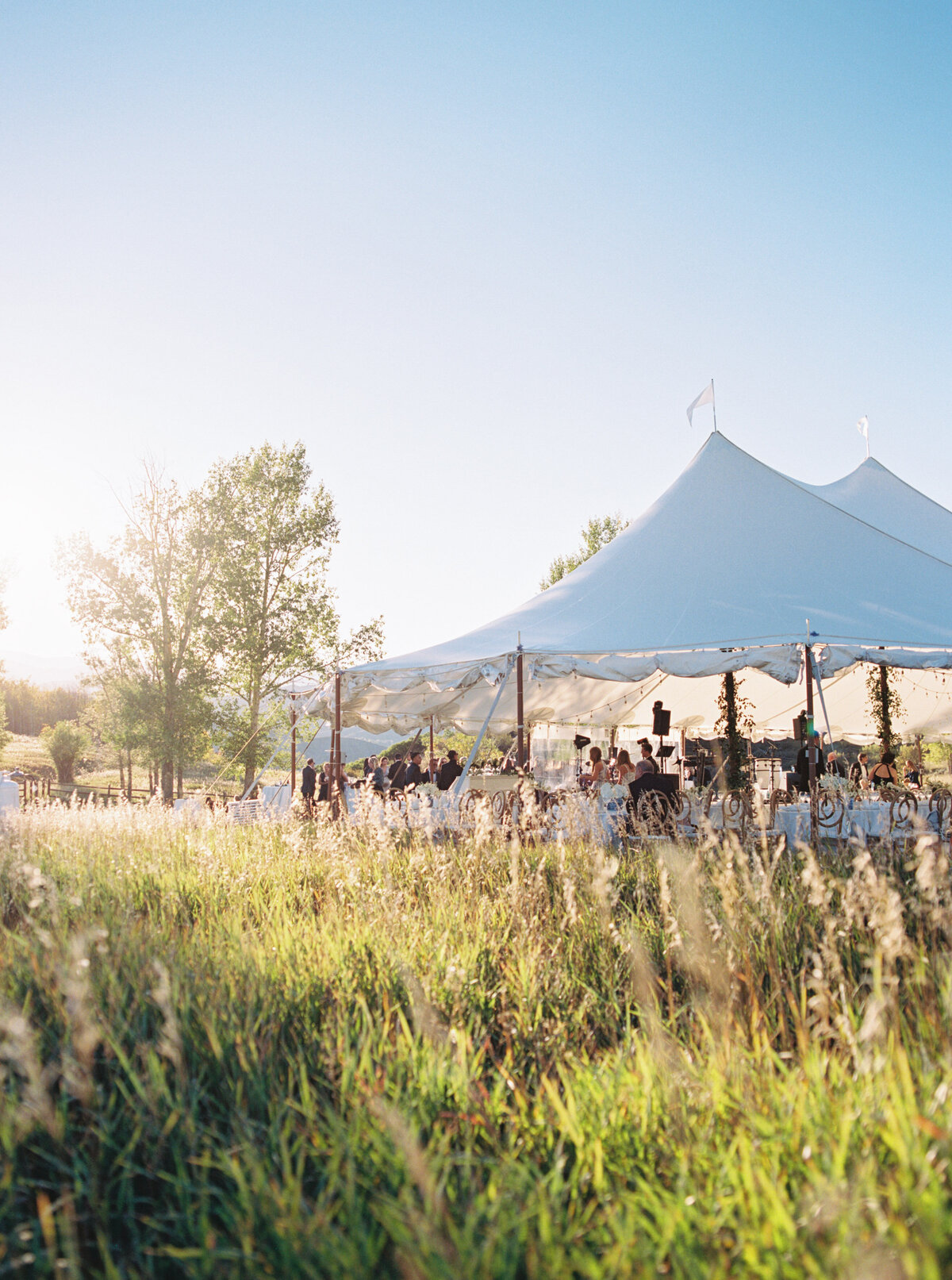 Tented outdoor wedding