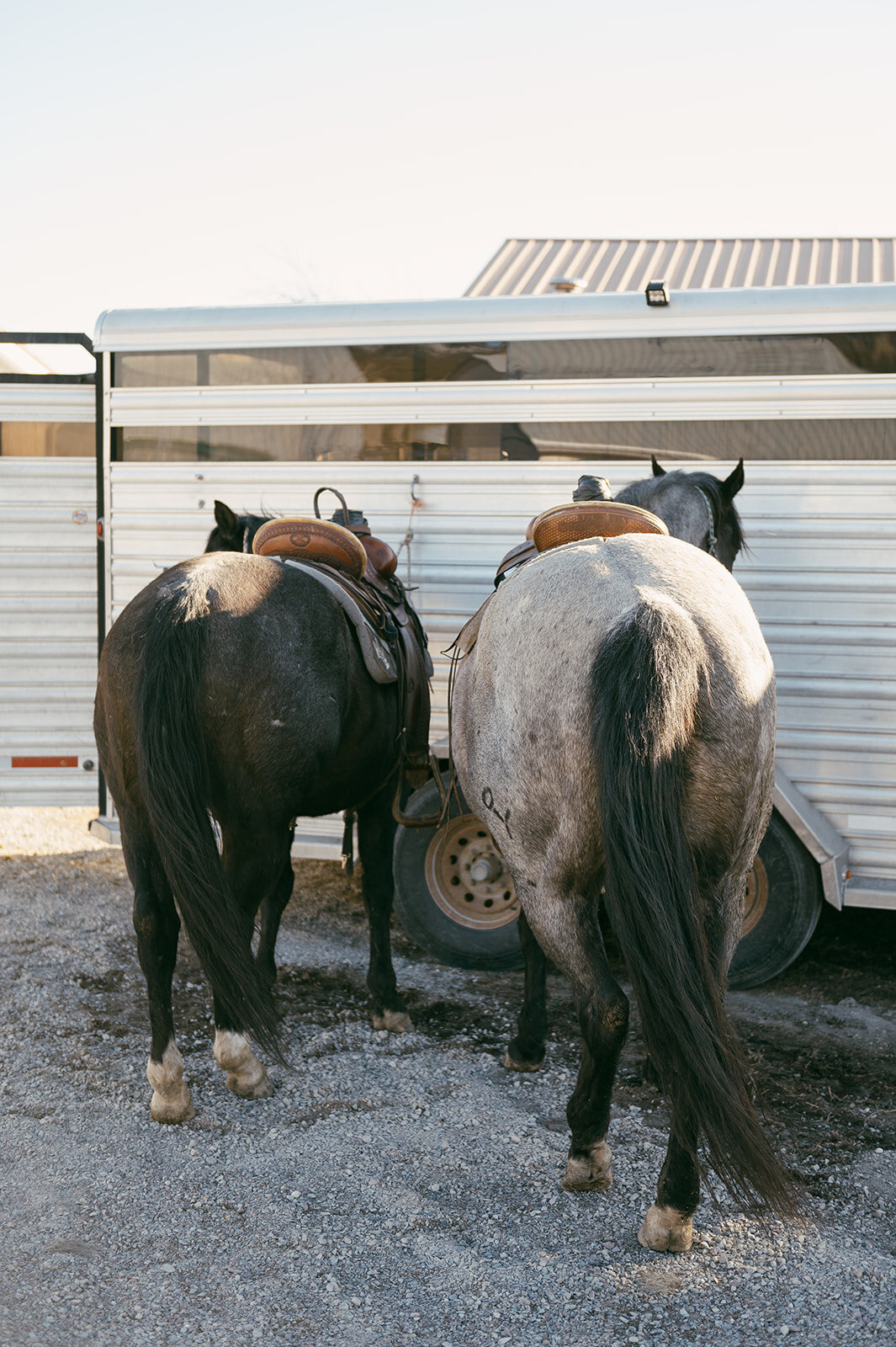 presley-gray-photo-montana-western-ranch-couples-photoshoot-1471