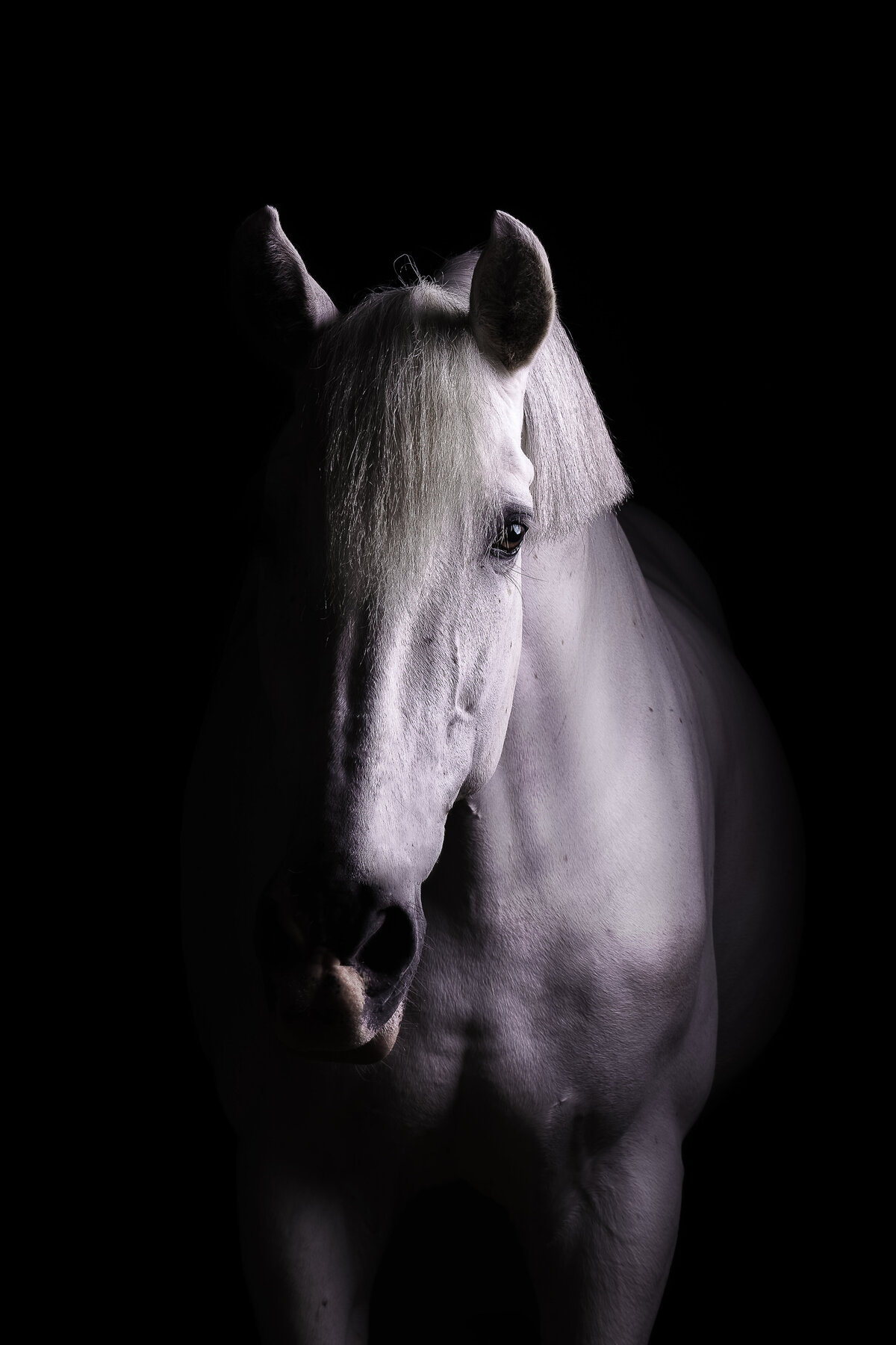 DSC04826-Edit-Edit