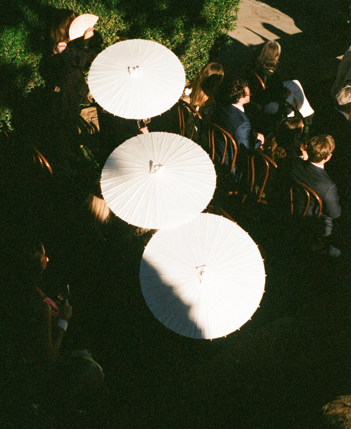 Film-204
