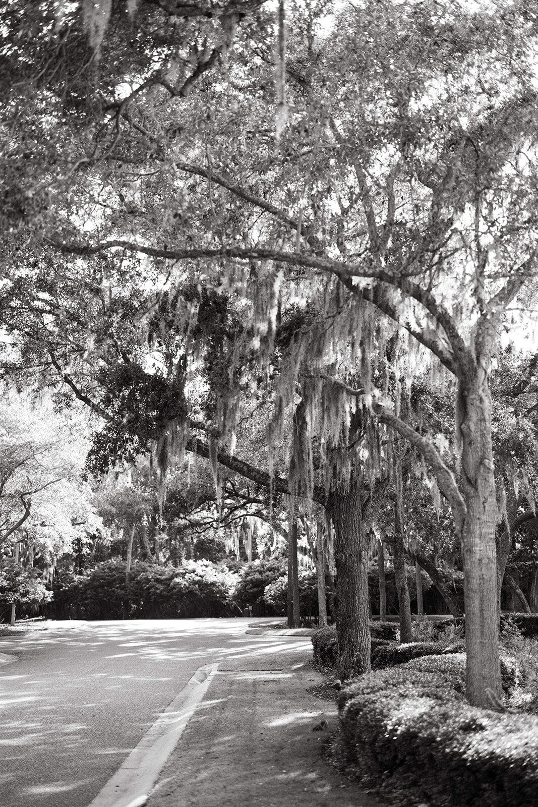 Rachel-Pourchier-Photography-WelcomeParty-Kiawah-Renard19_websize (1)