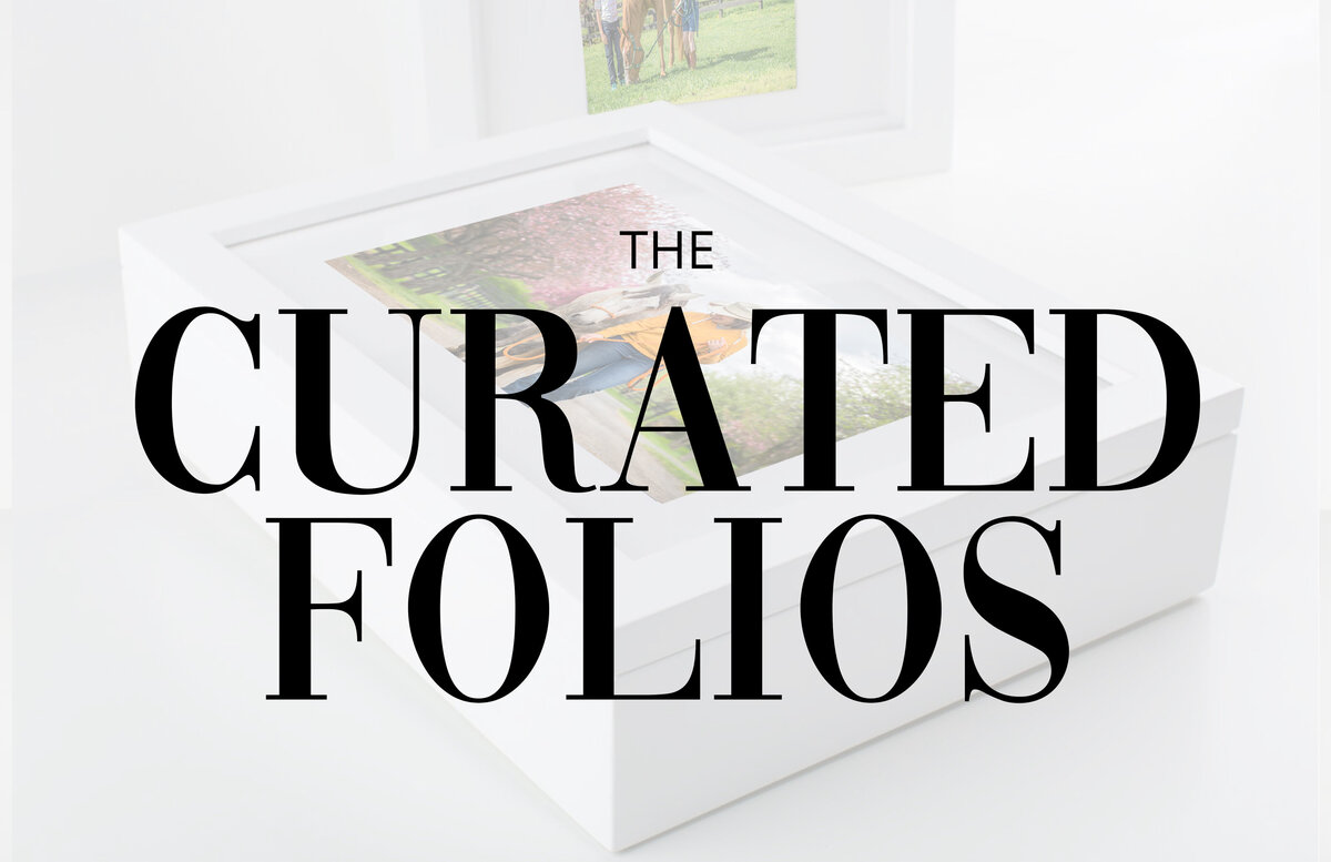 012 - pg 22-23  - Intro - The Curated Folios