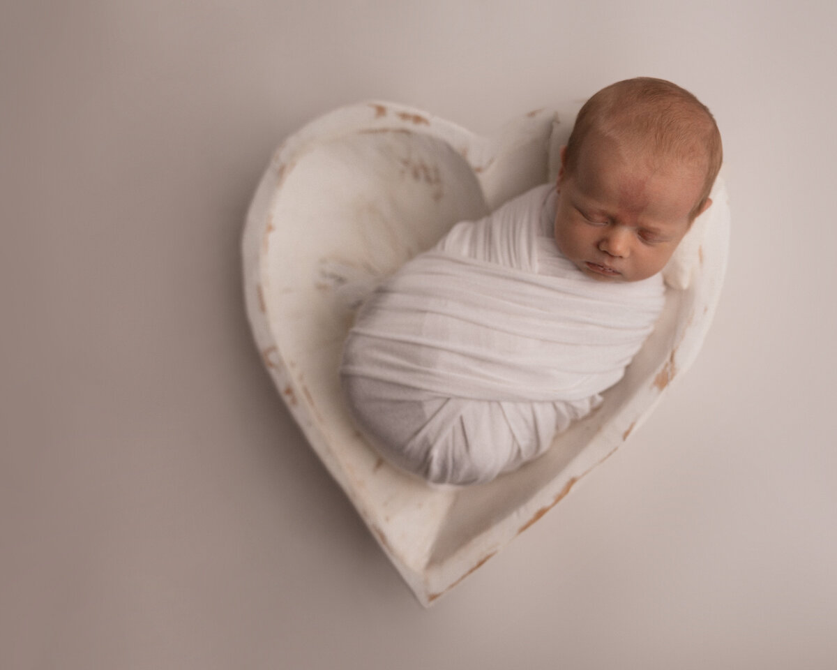Fargo-Newborn-Photographer-7