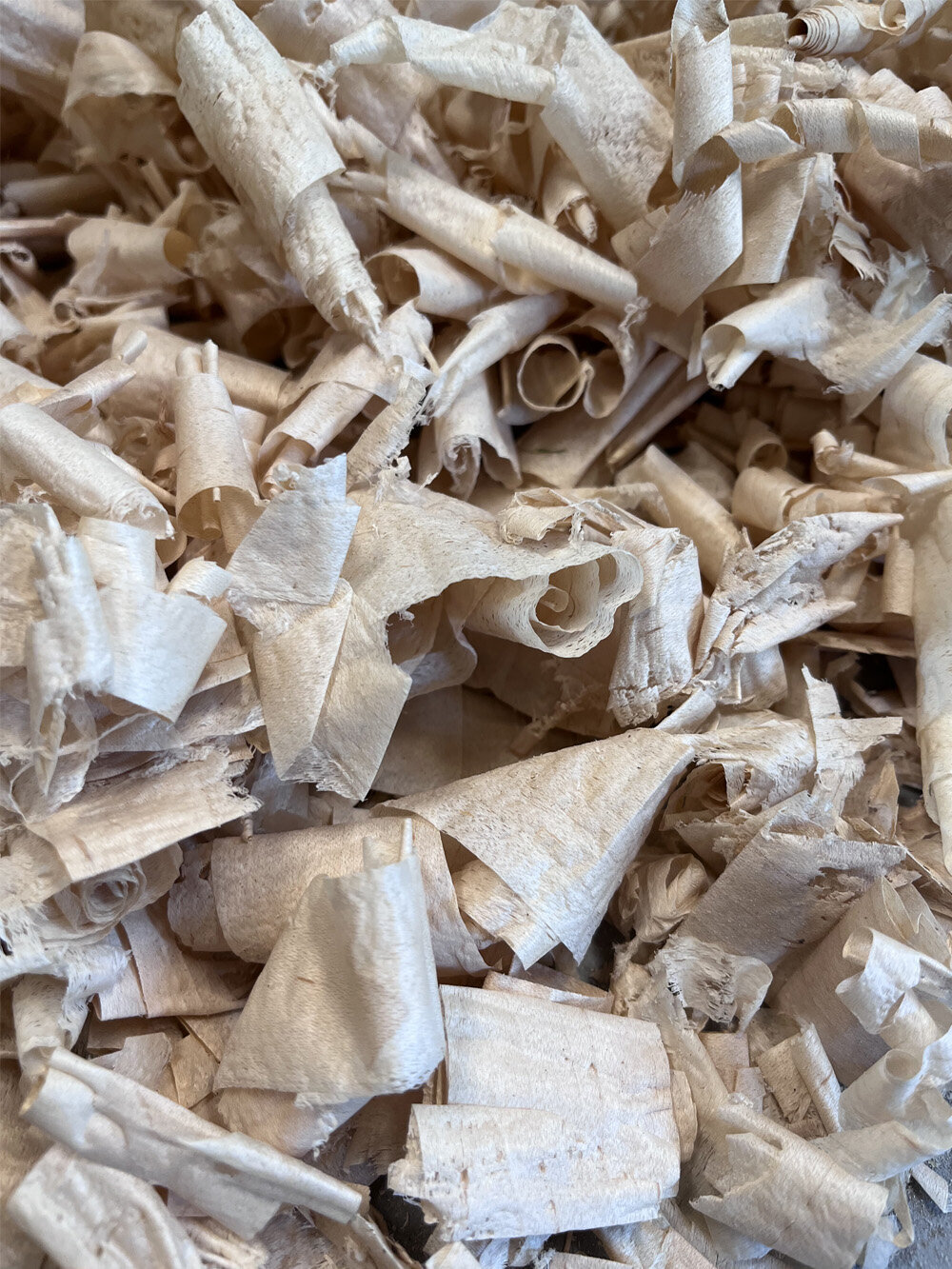 Wood shavings