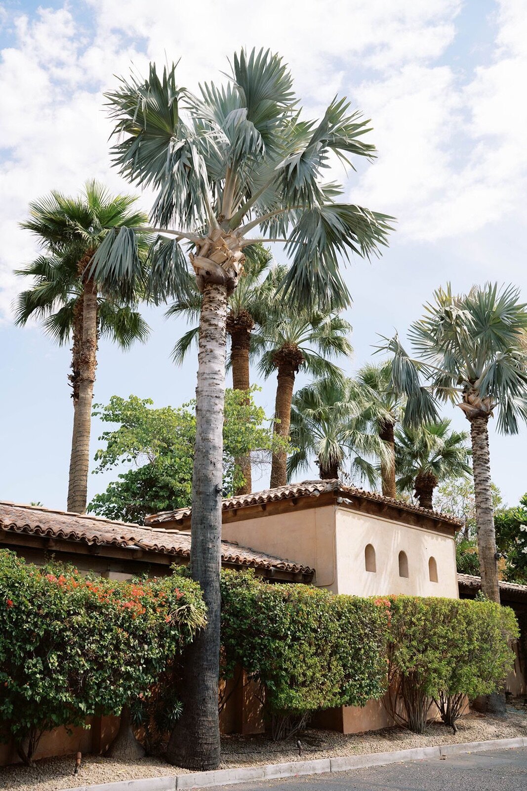 royal_palms_wedding_13
