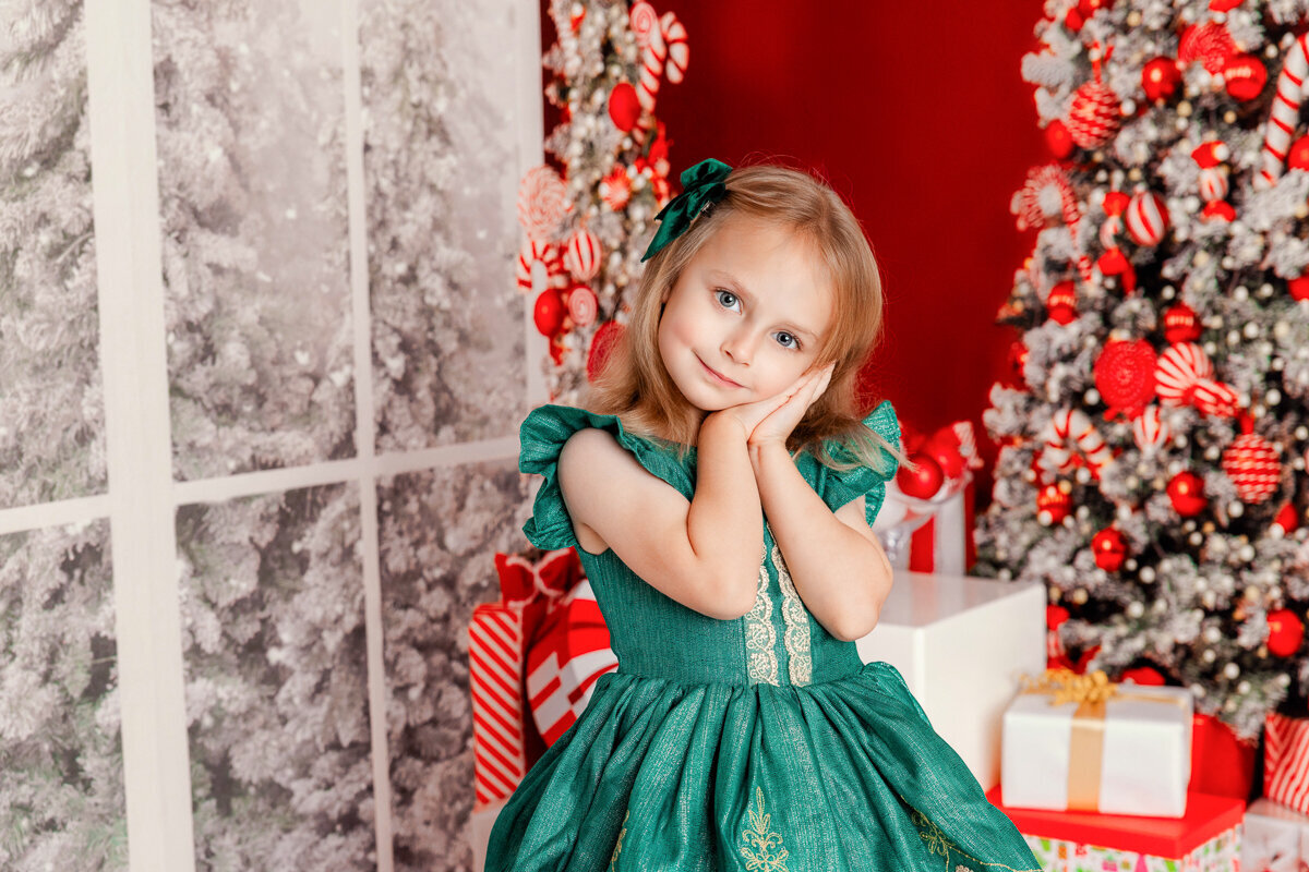 new-jersey-christmas-minis-84