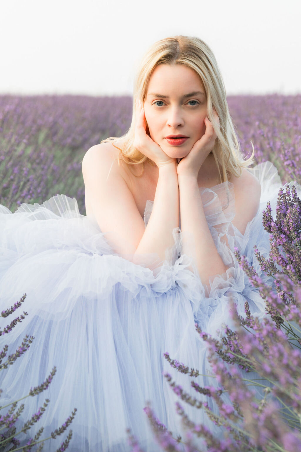 IRP-LavenderFields2024-11edit