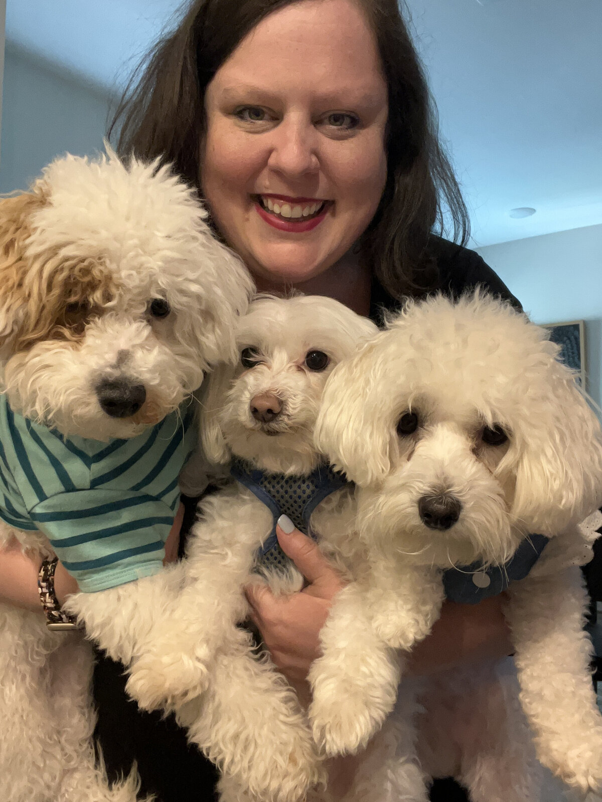 Henri, Coco, and Hugo