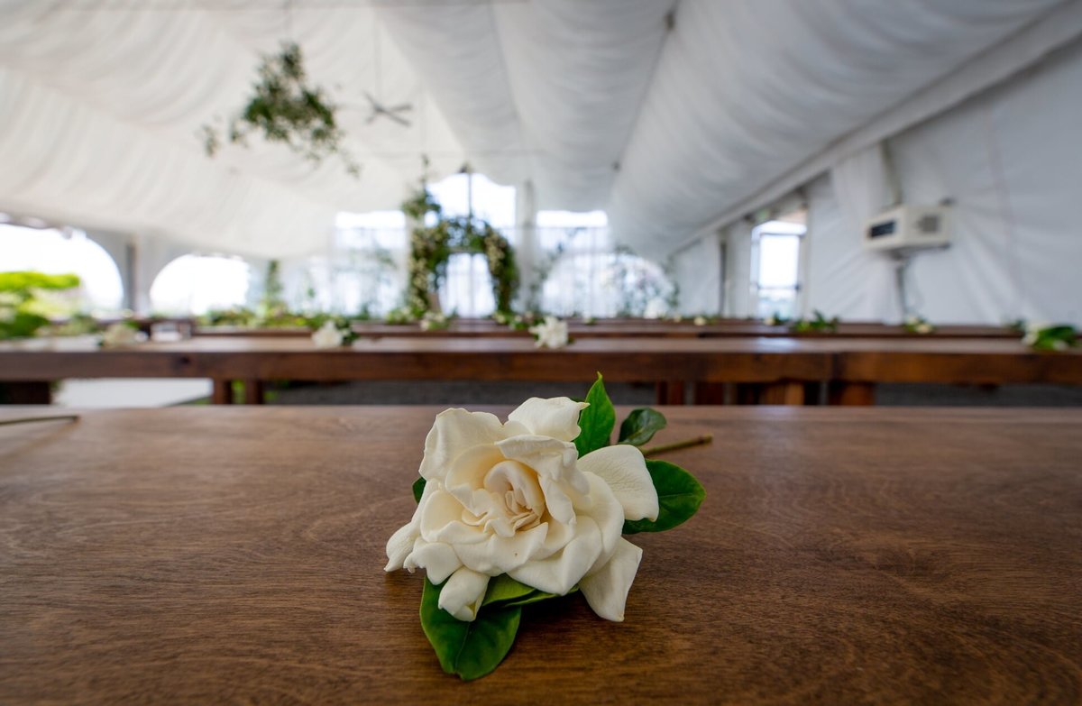 A gardenia for each guest at each seat on wooden bench for wedding ceremony