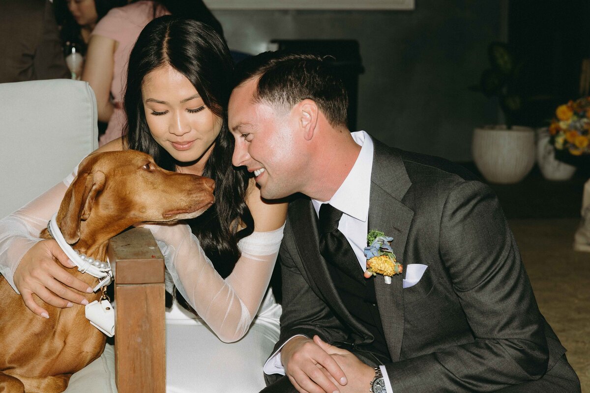 markanddianewedding-772_3_11zon