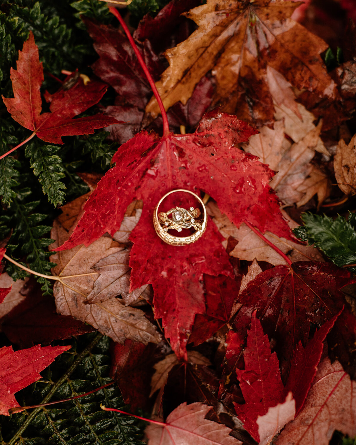 rainy_columbia_river_gorge_wedding_01
