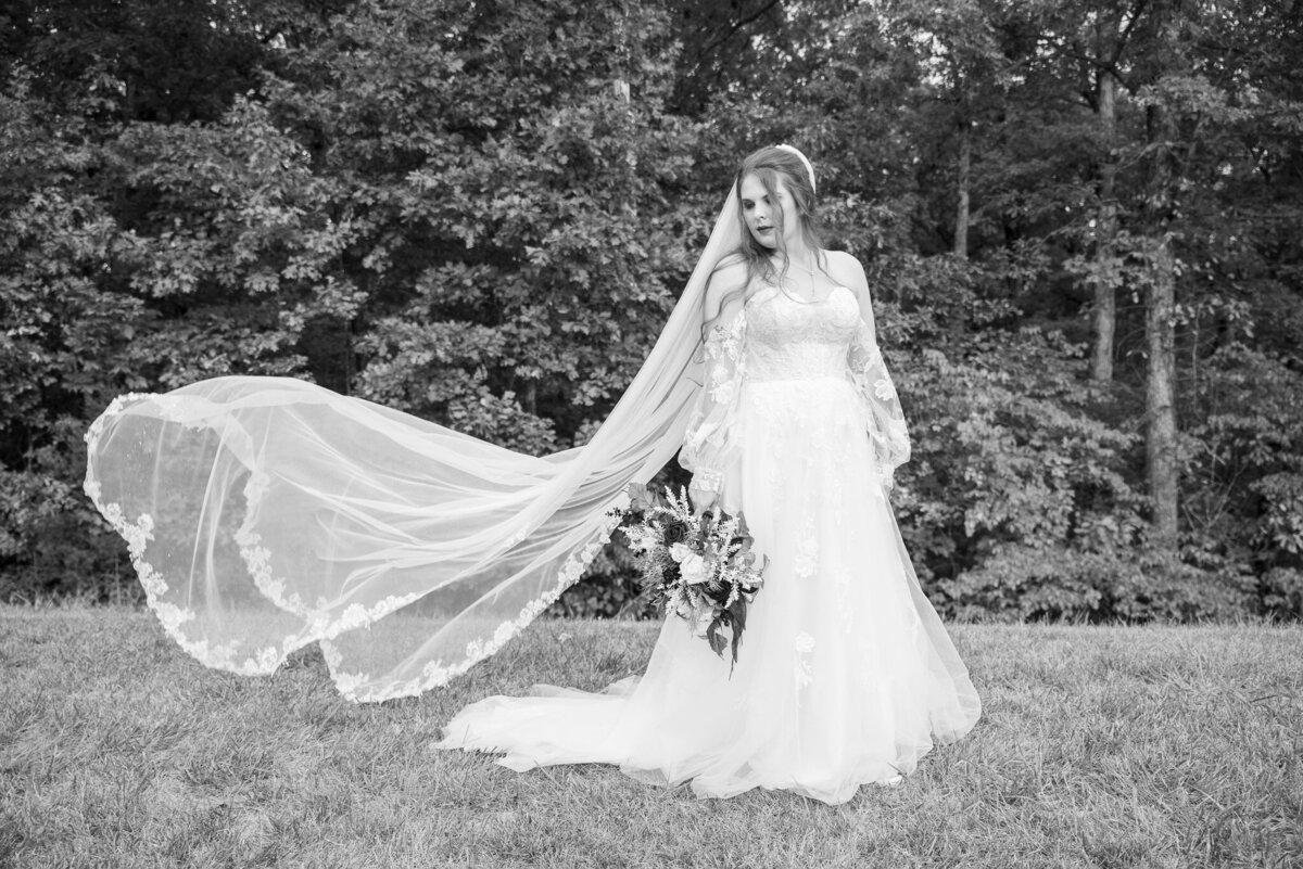 st louis missouri wedding photographer, documentary wedding and elopement photographjer