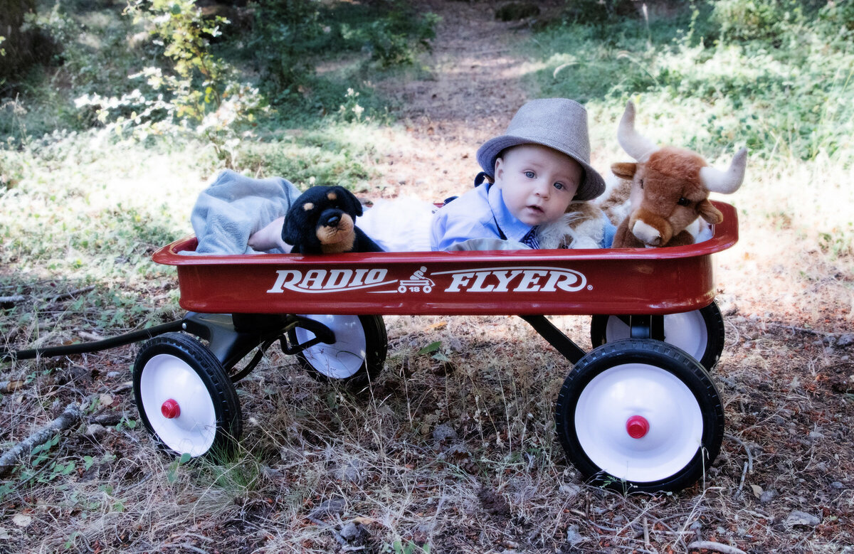 baby in radio flyer wagon