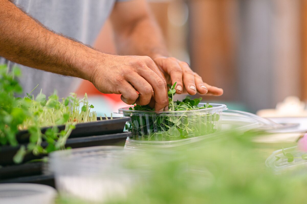 Channel-Islands-Micro-Greens-Local-Farmers-Markets-0060