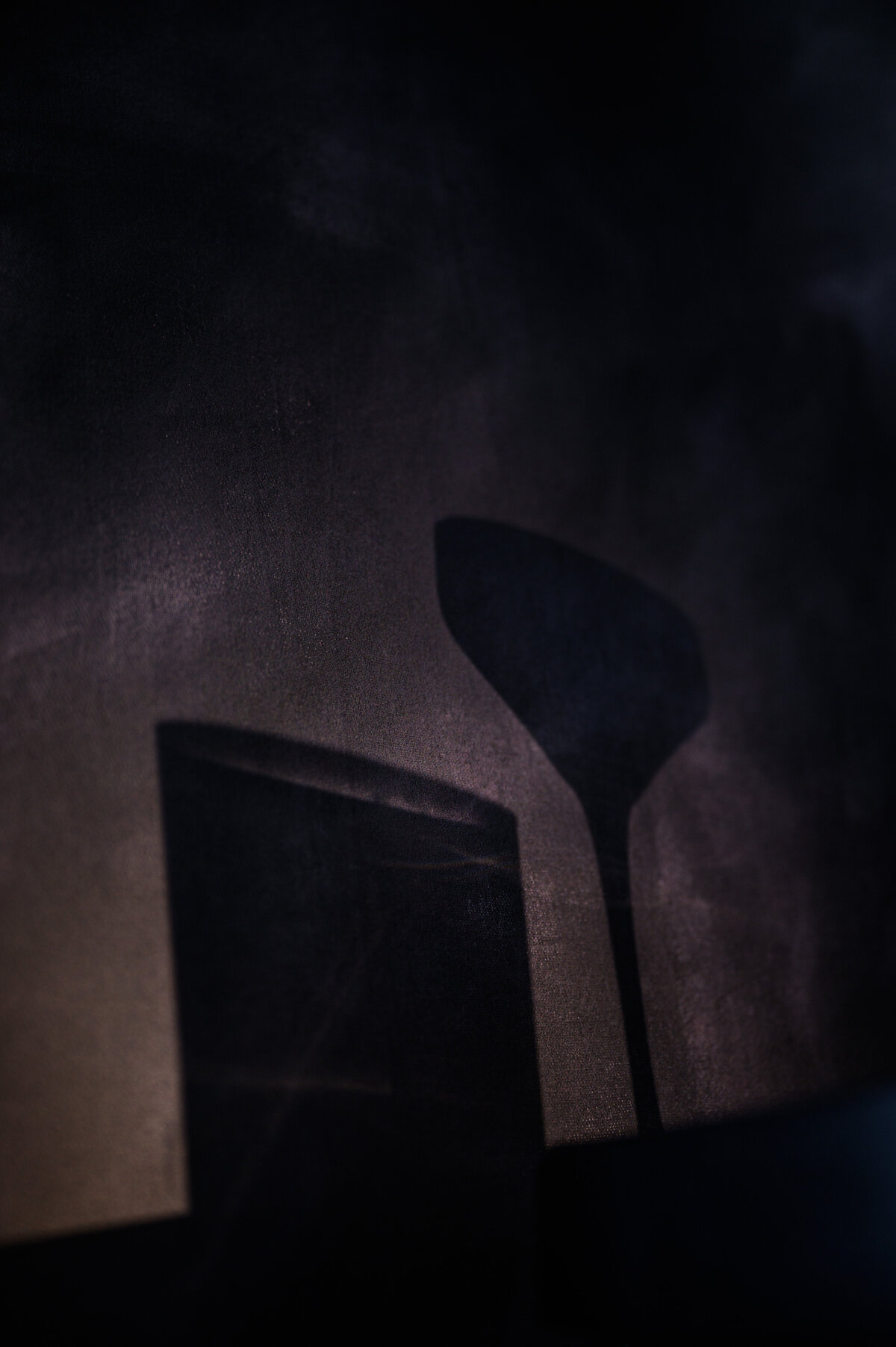 SWDC-BlueDoor-December-Edit-4427