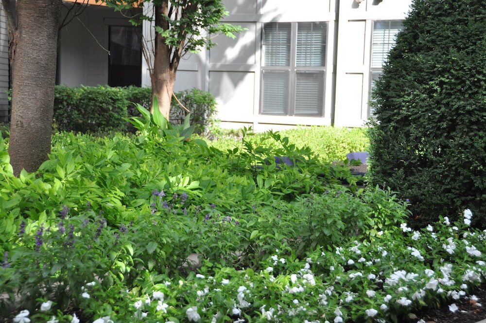 Commercial landscape company project in Kansas City