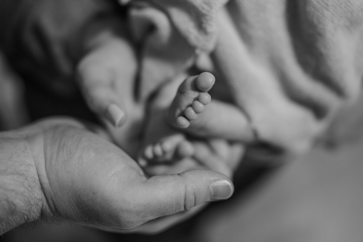 In-Home-Newborn-Santana-Block-Photography-Utica-New-York-188