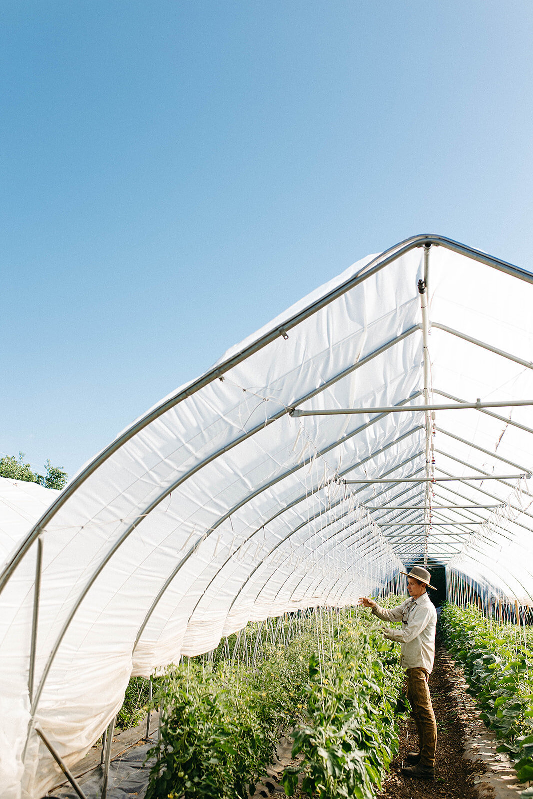 Burns_Blossom_Farm_May2023_danipadgett13788_websize