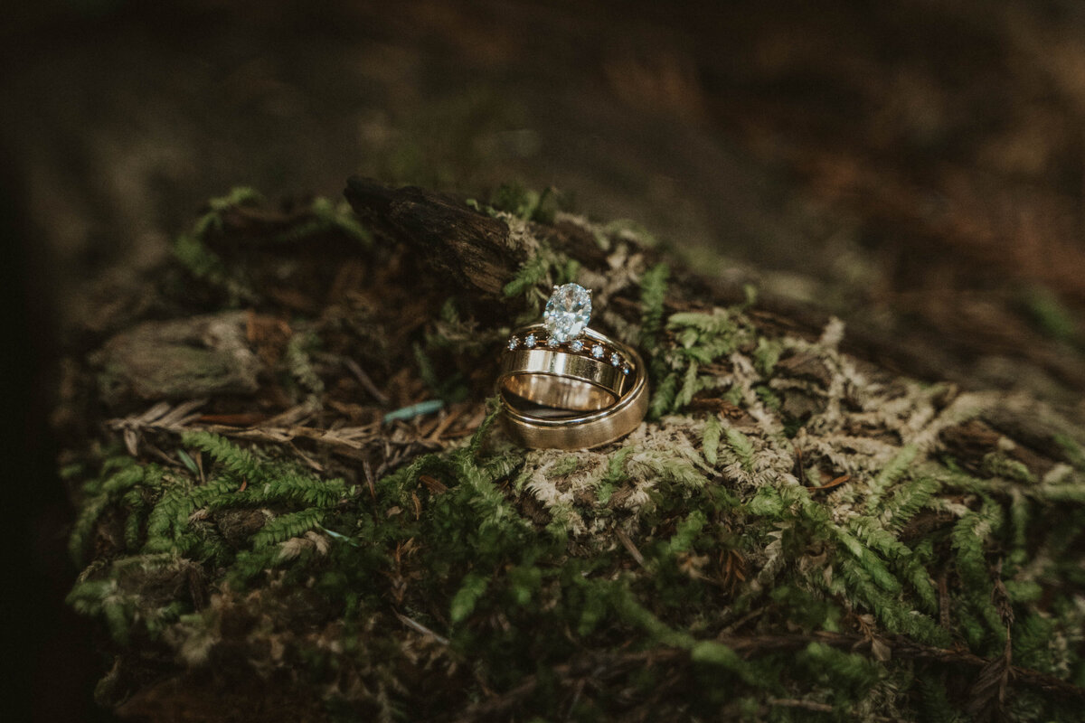 Kaylee-Trace-California-Elopement-Crescent-City-106