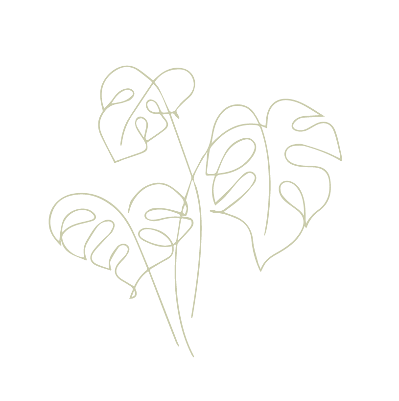 ZS 3 leaf sage-06