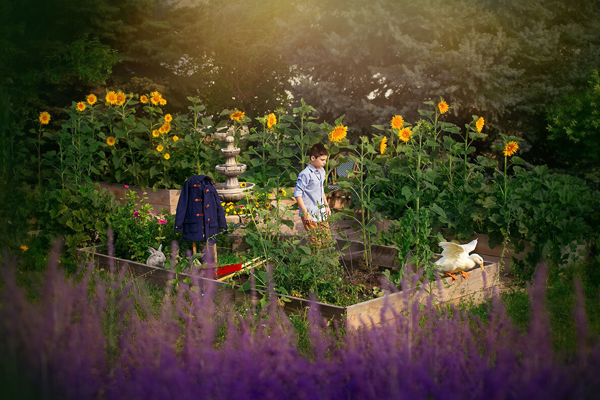 peter-rabbit-duck-peking-brighton-todd-creek-colorado-garden-sunflowers-gardener-children-portrait-fine-art-photographer-boy-sunflowers-book