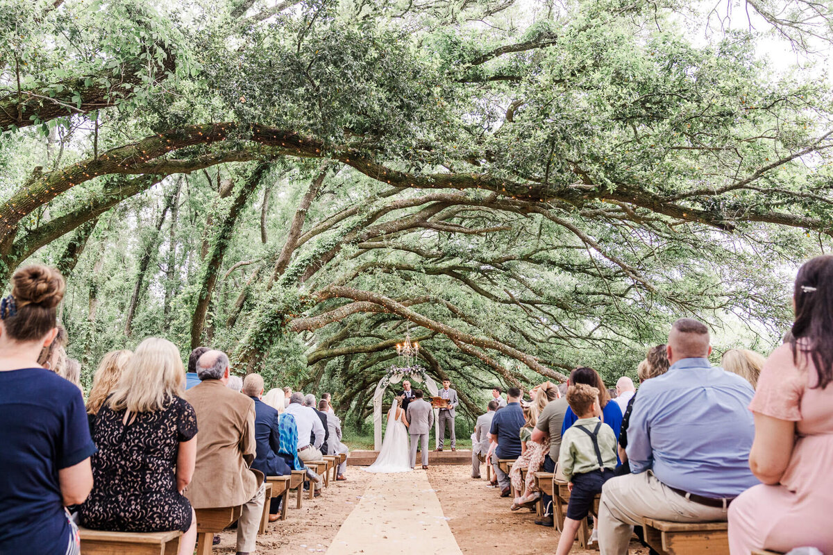 Cory-Danielle-Wedding-Outdoor-Ceremony-Oak-Hollow-Farm-Wedding-Video-Fairhope-Alabama-1