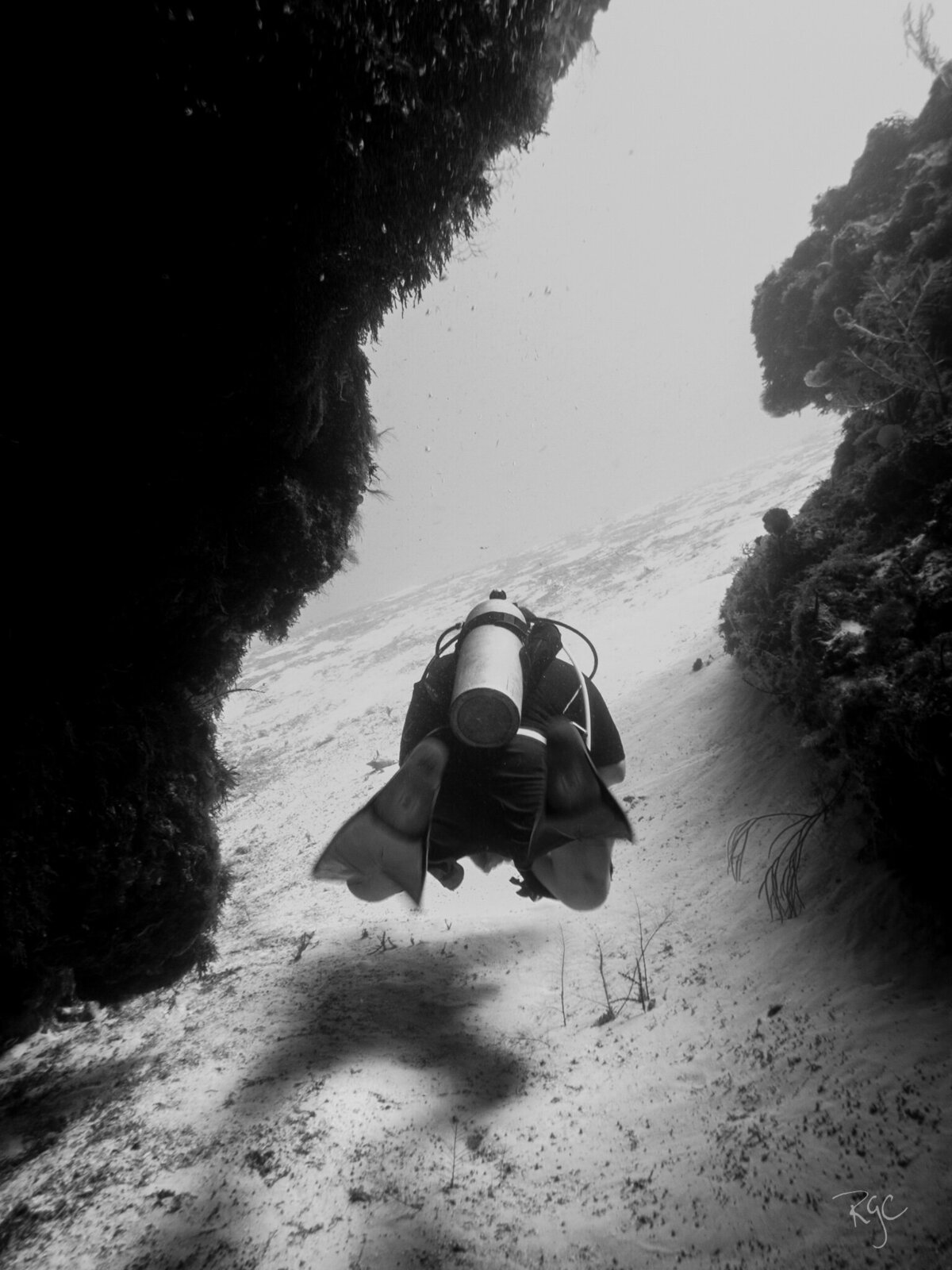RGEORGE_UWcozumel_March2015_0526