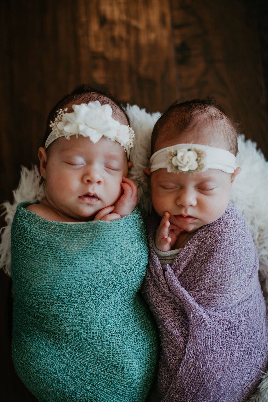 Adorable newborn twins