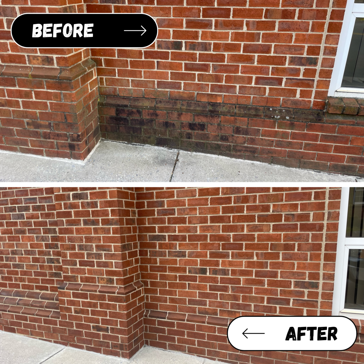 Grit to Gloss Before After (6)