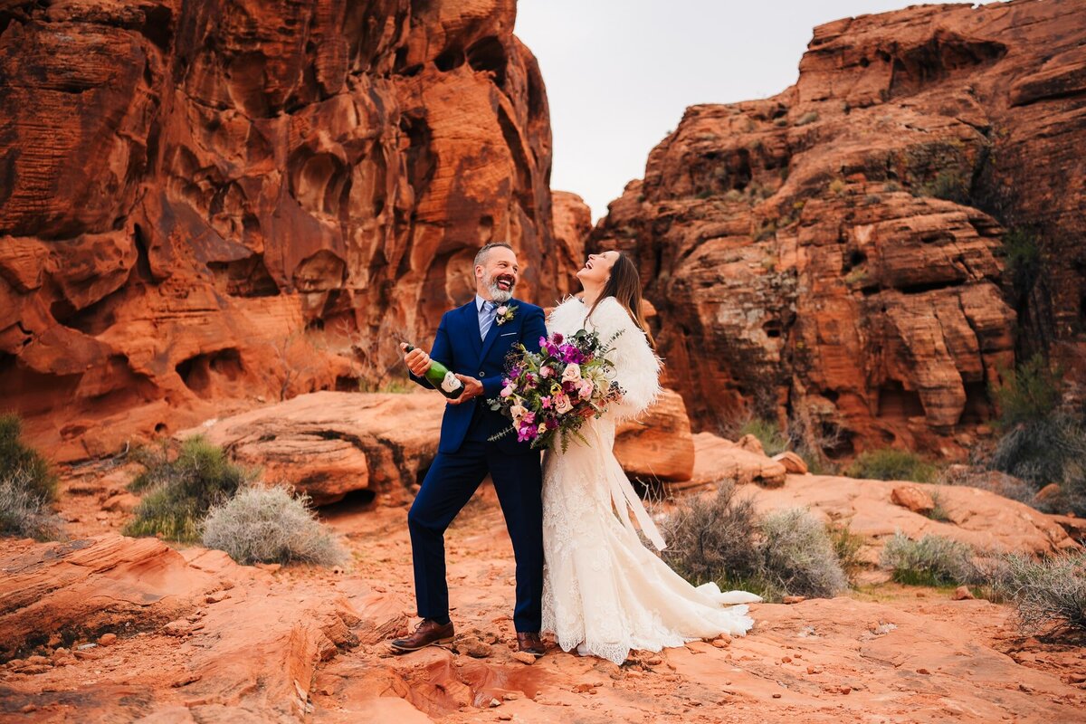 Valley of Fire Wedding-2-min
